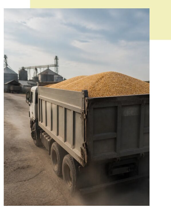 Перевозка сельхозпродукции навалом в Славгород по цене от 3120 р. | Агросервис-Слд